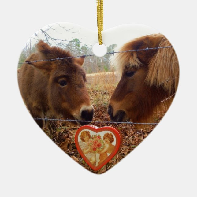 Miniature Donkey & Horse Valentine Heart Ceramic Tree Decoration (Front)