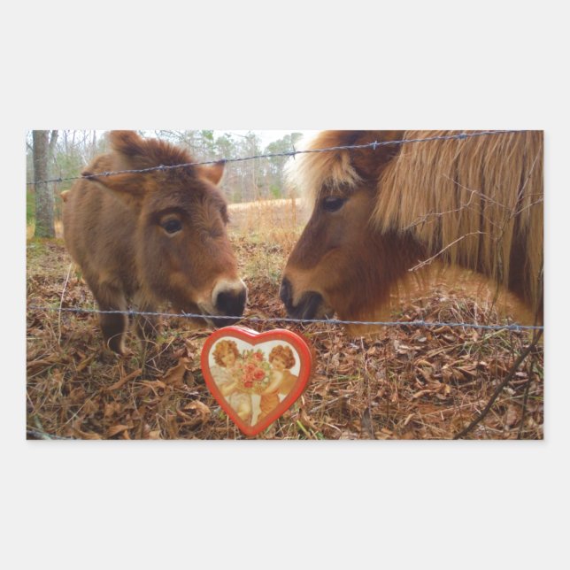 Miniature Donkey & Horse Valentine Heart Rectangular Sticker (Front)