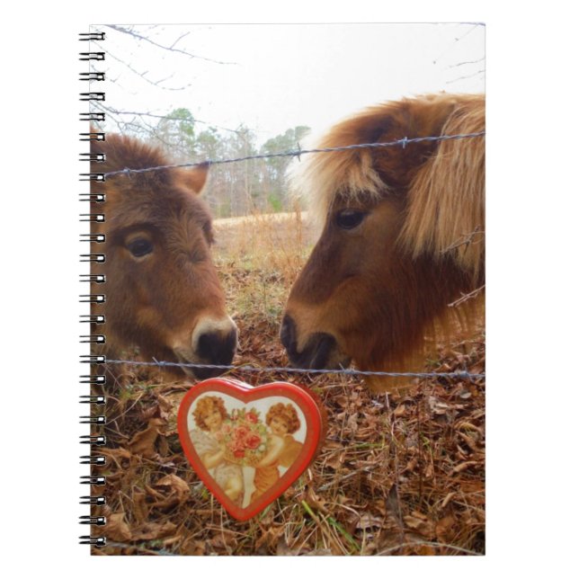 Miniature Donkey & Horse Valentine Heart Spiral Notebook (Front)