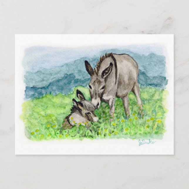 Miniature Donkey Mum and Baby Watercolor Art Postcard (Front)