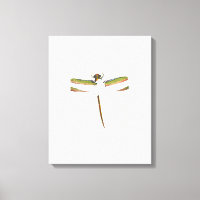 Miniature Dragonfly on White Background