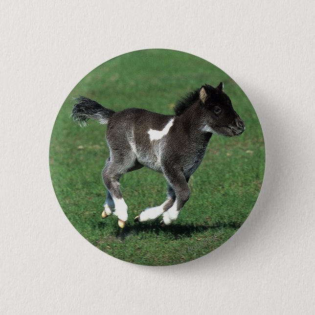 Miniature Foal Running 6 Cm Round Badge (Front)