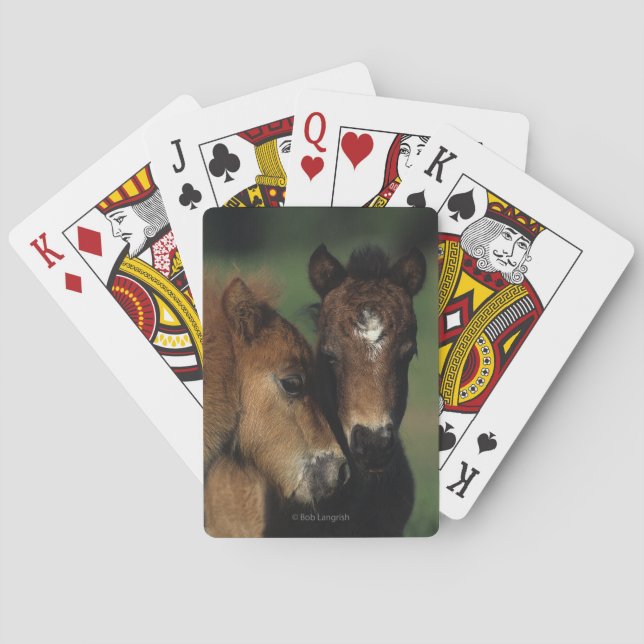 Miniature Foals 2 Playing Cards (Back)