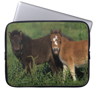 Miniature Foals in Grass Laptop Sleeve