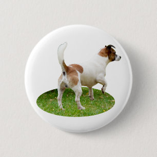 Miniature Fox Terrier Alert, Round Badge
