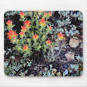 Miniature Garden at Gem Lake Mouse Pad