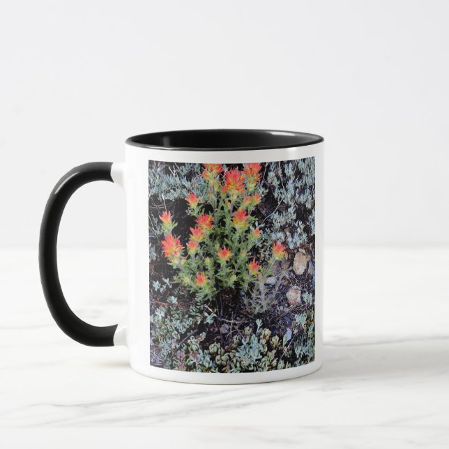 Miniature Garden at Gem Lake Mug (Left)