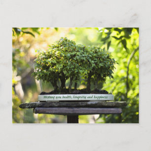 Miniature Green Forest Bonsai Pot Pedestal Leaves Postcard