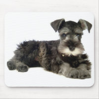 Miniature Grey Schnauzer Puppy Dog Mouse Pad