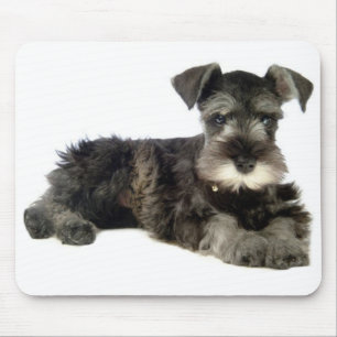 Miniature Grey Schnauzer Puppy Dog Mouse Pad