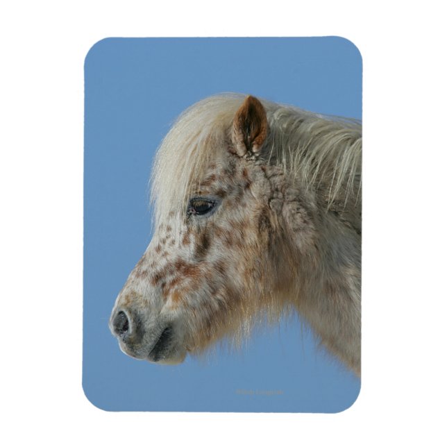 Miniature Horse Headshot Magnet (Vertical)