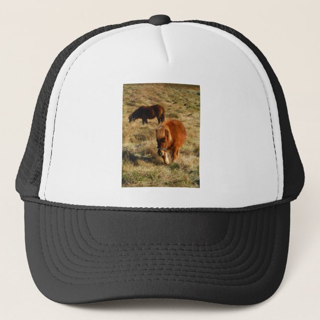 miniature Horse ponies Trucker Hat (Front)