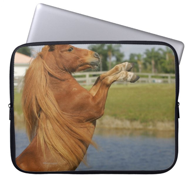 Miniature Horse Rearing Laptop Sleeve (Front)