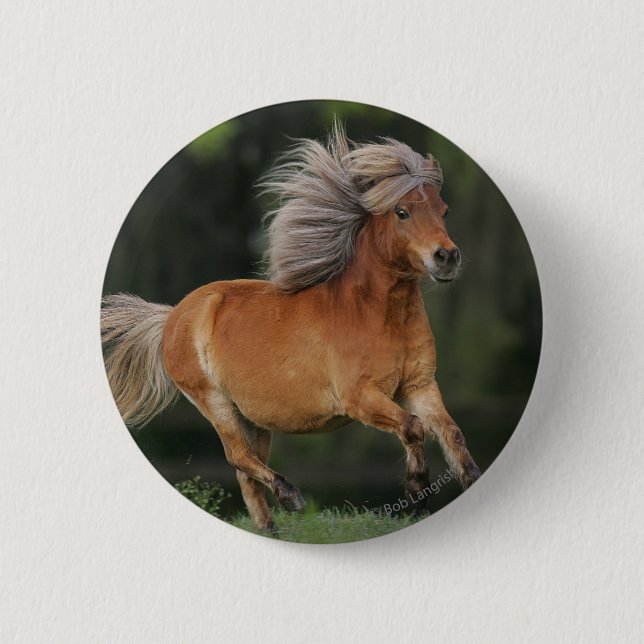 Miniature Horse Running 6 Cm Round Badge (Front)