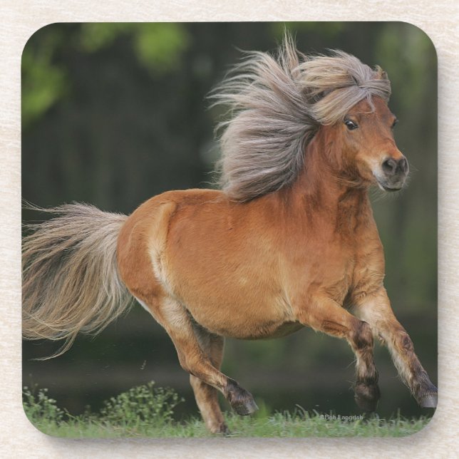Miniature Horse Running Coaster (Front)