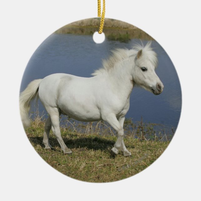 Miniature Horse Running Near Water Ceramic Tree Decoration (Front)