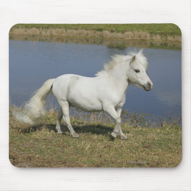 Miniature Horse Running Near Water Mouse Pad (Front)