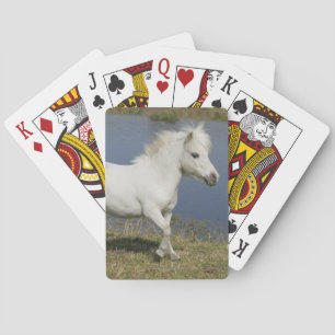 Miniature Horse Running Near Water Playing Cards