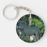 Miniature Horse Standing in the Trees