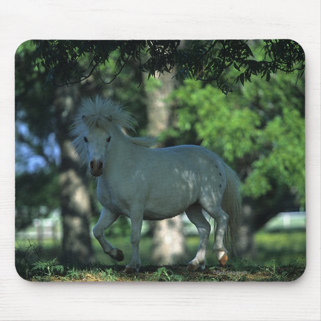 Miniature Horse Standing in the Trees Mouse Pad (Front)