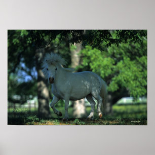 Miniature Horse Standing in the Trees Poster