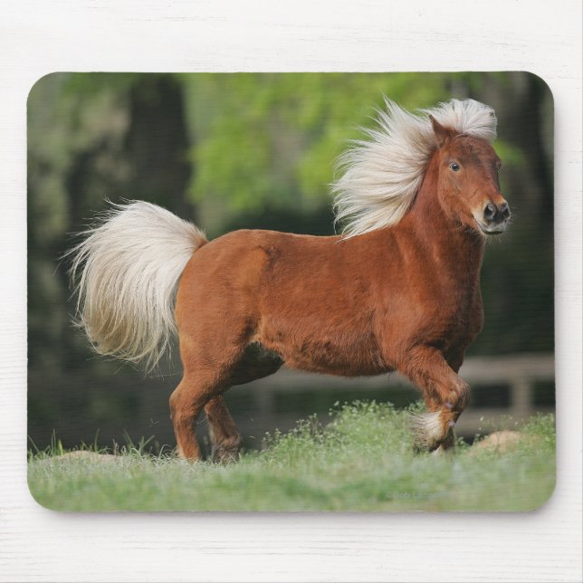 Miniature Horse Standing Mouse Pad (Front)
