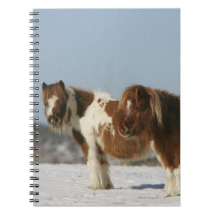 Miniature Horses Standing in the Snow Spiral Notebook