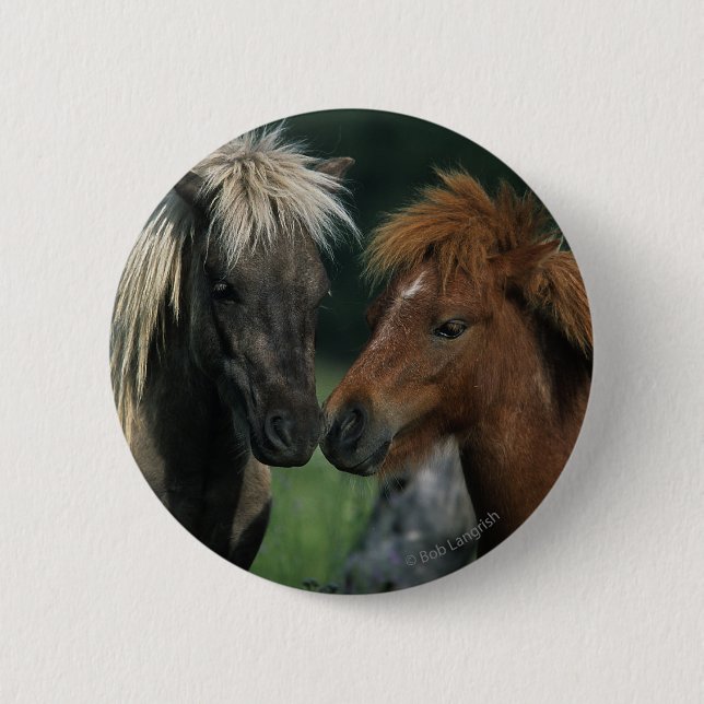 Miniature Horses Touching 6 Cm Round Badge (Front)