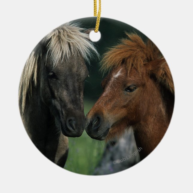 Miniature Horses Touching Ceramic Tree Decoration (Front)