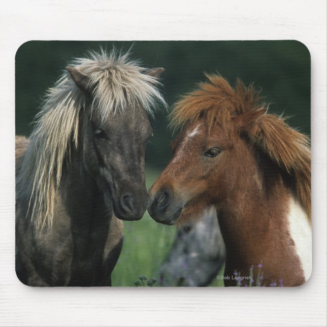 Miniature Horses Touching Mouse Pad (Front)