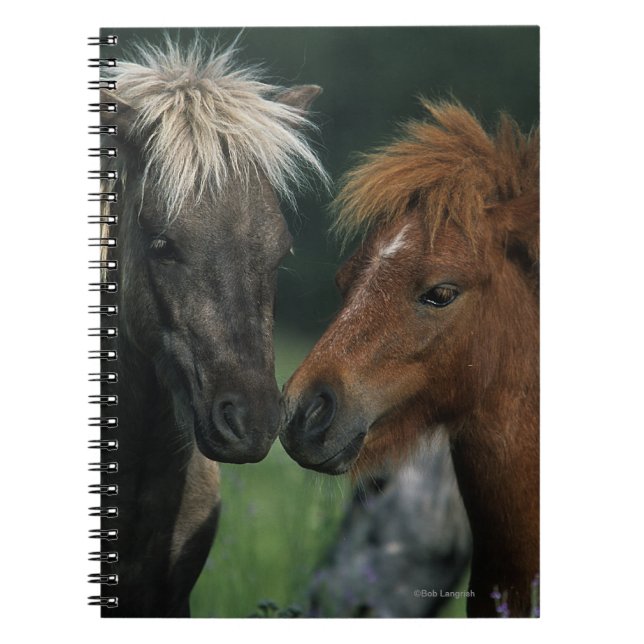 Miniature Horses Touching Spiral Notebook (Front)