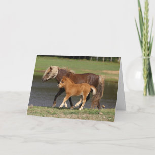 Miniature Mare and Foal Walking By Lake Card
