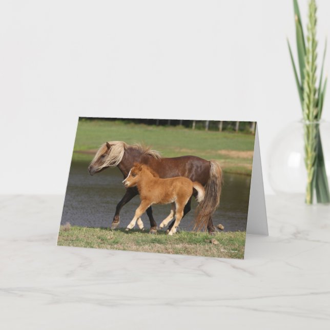 Miniature Mare and Foal Walking By Lake Card (Front)