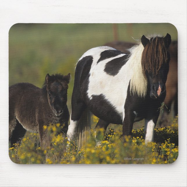 Miniature Mare & Foal in the Flowers Mouse Pad (Front)