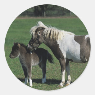 Miniature Mare & Foal Standing Classic Round Sticker