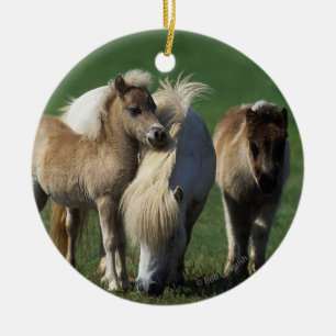Miniature Mare & Foals 1 Ceramic Tree Decoration
