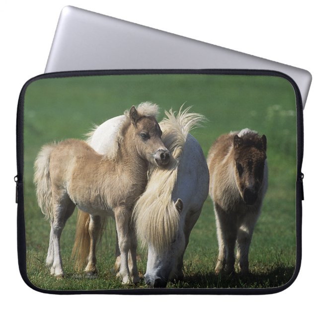 Miniature Mare & Foals 1 Laptop Sleeve (Front)