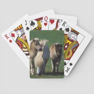 Miniature Mare & Foals 1 Playing Cards