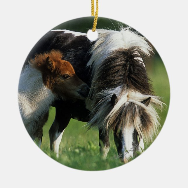 Miniature Mare & Foals 2 Ceramic Tree Decoration (Front)