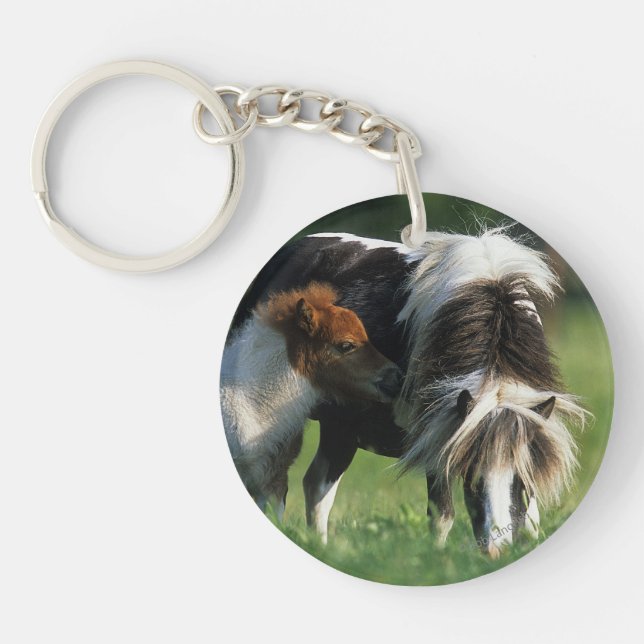 Miniature Mare & Foals 2 Key Ring (Front)