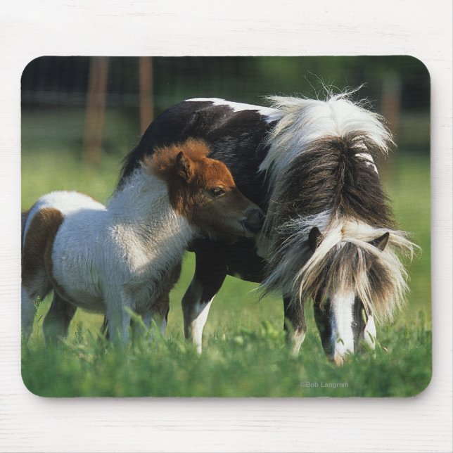 Miniature Mare & Foals 2 Mouse Pad (Front)
