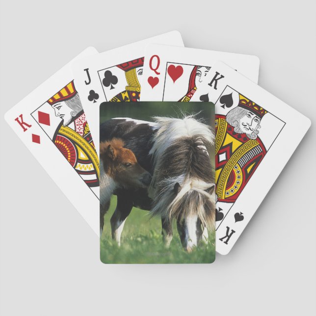 Miniature Mare & Foals 2 Playing Cards (Back)