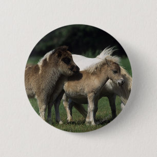 Miniature Mare & Foals 3 6 Cm Round Badge