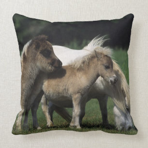 Miniature Mare & Foals 3 Cushion