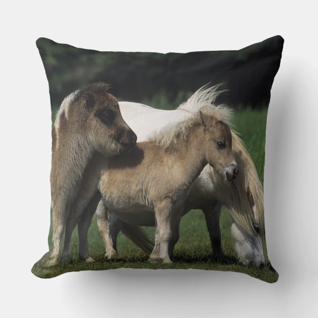Miniature Mare & Foals 3 Cushion (Front)