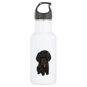 Miniature or Toy Poodle - Black 1 532 Ml Water Bottle