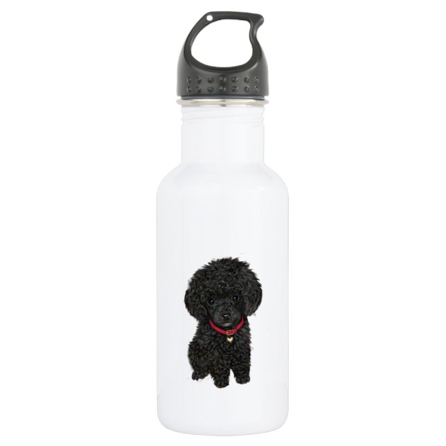 Miniature or Toy Poodle - Black 1 532 Ml Water Bottle (Front)