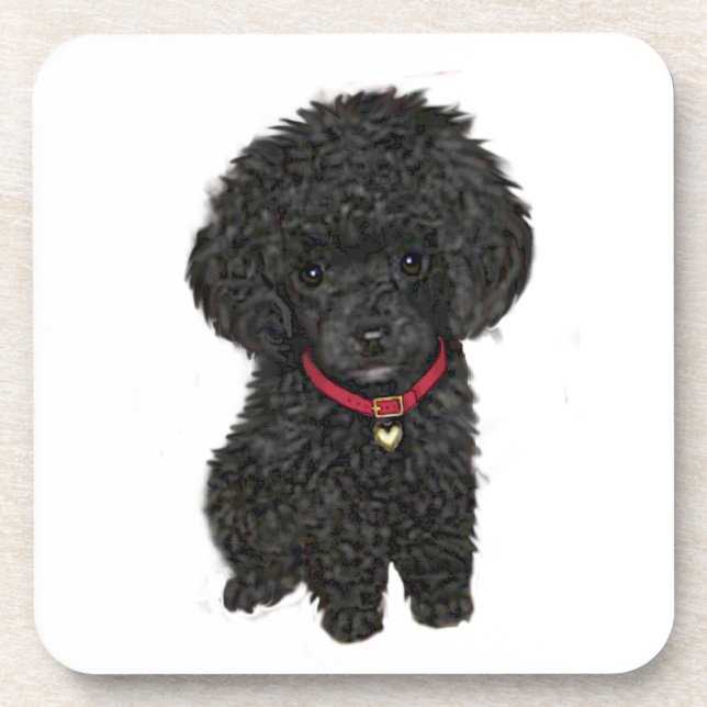 Miniature or Toy Poodle - Black 1 Coaster (Front)