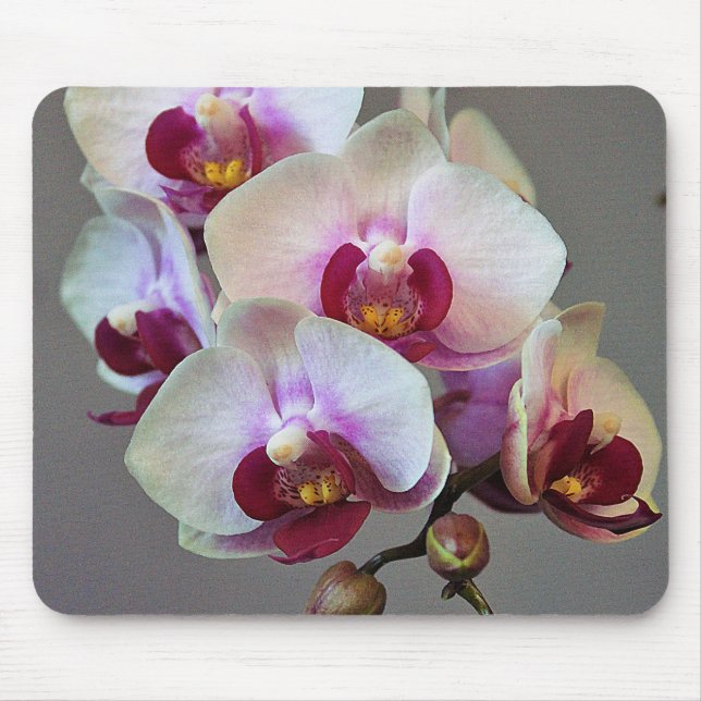 Miniature Orchid Mouse Pad (Front)