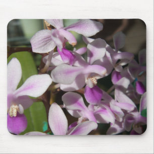 miniature orchids mouse pad